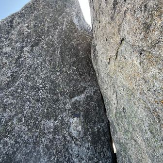 ズームしてね。