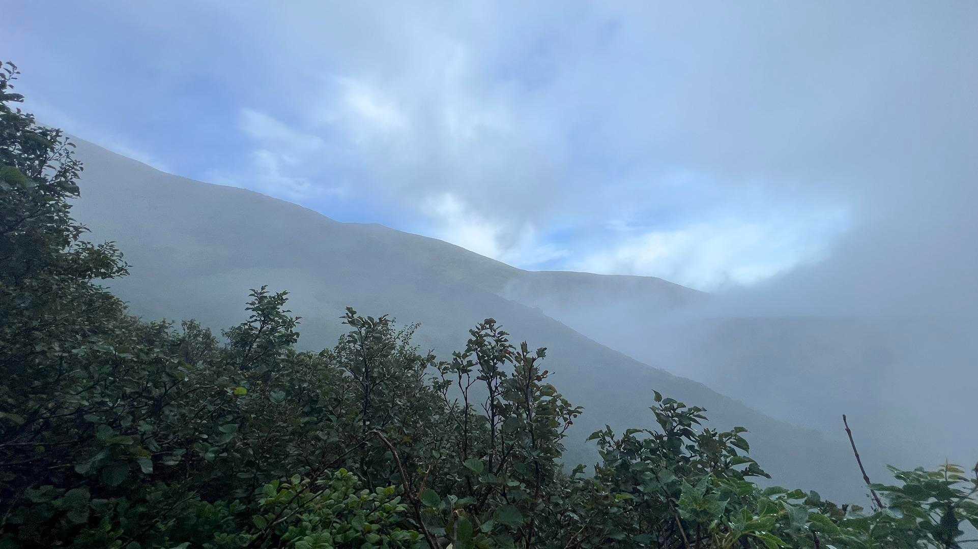 明けて登山開始、ここまでガスの為特に写真なし