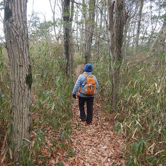 YAMAP地図には「鳥類調査のため通行はご遠慮ください」とありましたが、終了していましたので周回ルートで下ります