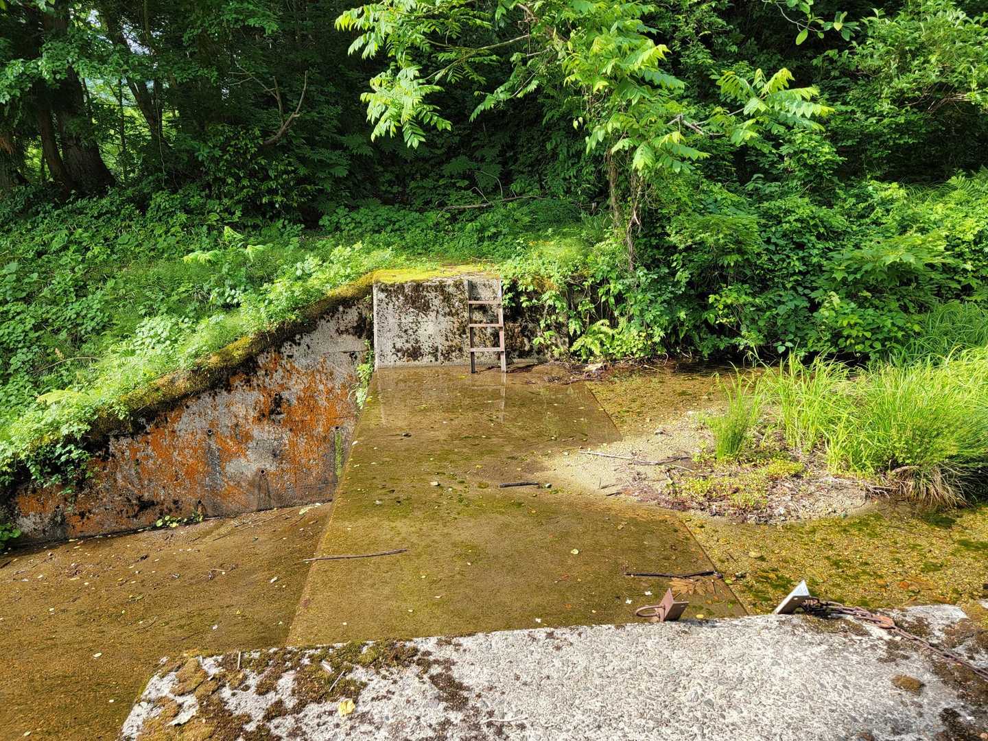 水量が少ないので助かりました