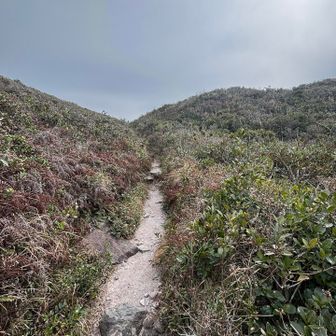 この道が一番気持ちよかった！！天国みたい🛣️