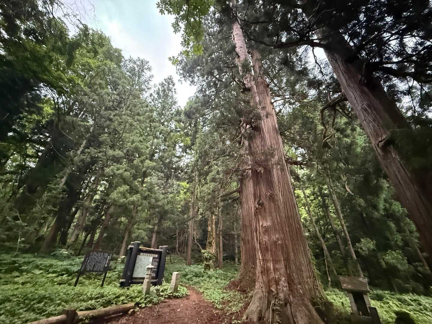 眠すぎて🅿️で３０分仮眠😪
スタートが遅れてしまった
歩き出すと同時に雨がポツリポツリと🚶‍♂️