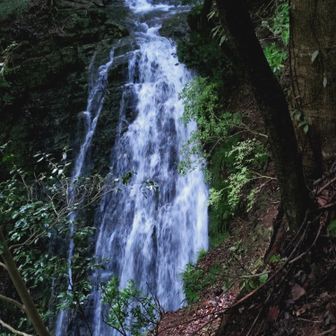 松葉の滝
雌滝