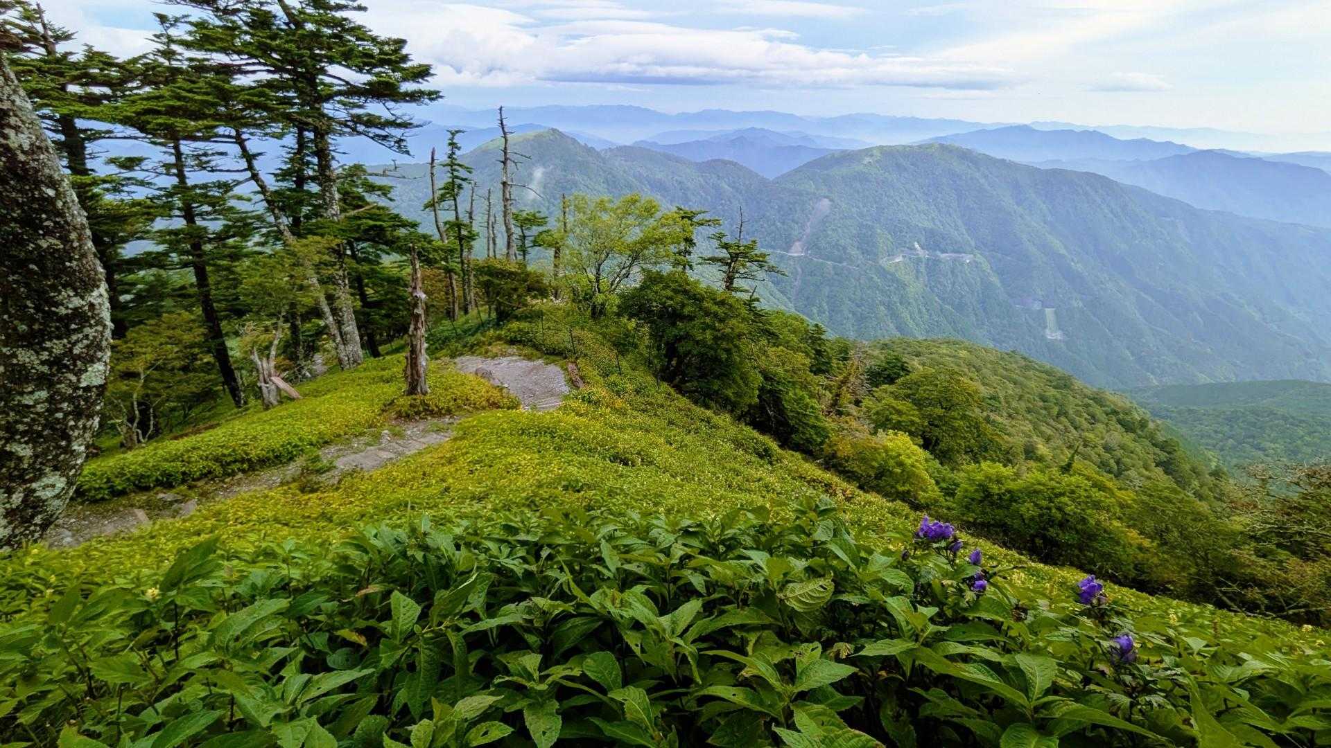見ノ越登山口-剣山-ジロウギュウ峠-次郎笈-丸石 縦走コースの写真