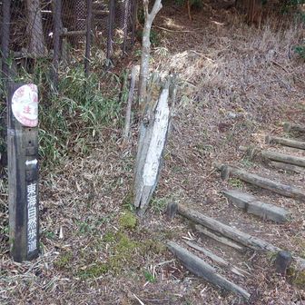 キタヤマオーレンを堪能して、横川駐車場に下りてきました