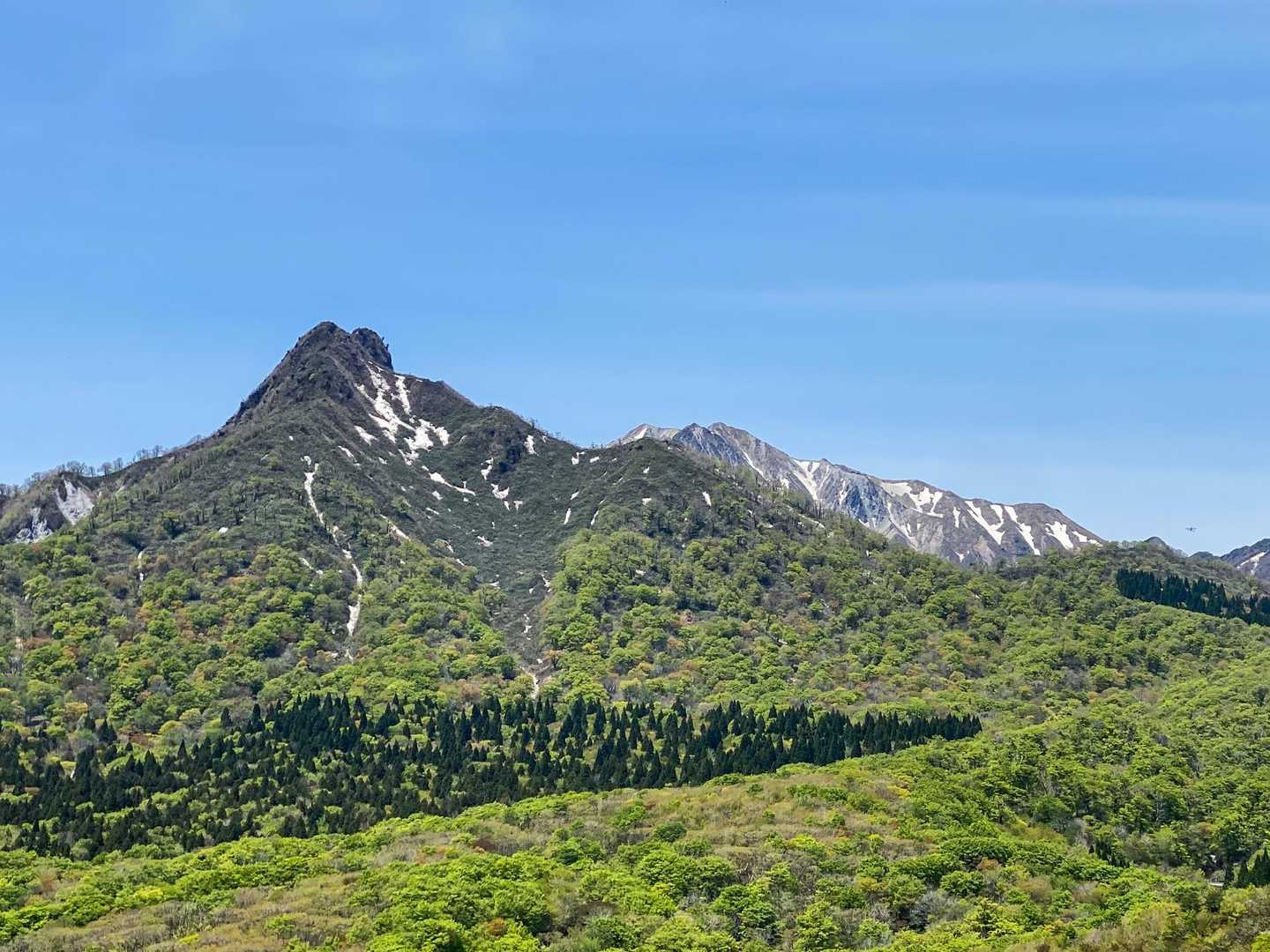 烏と大山のコラボは圧巻⭐︎
