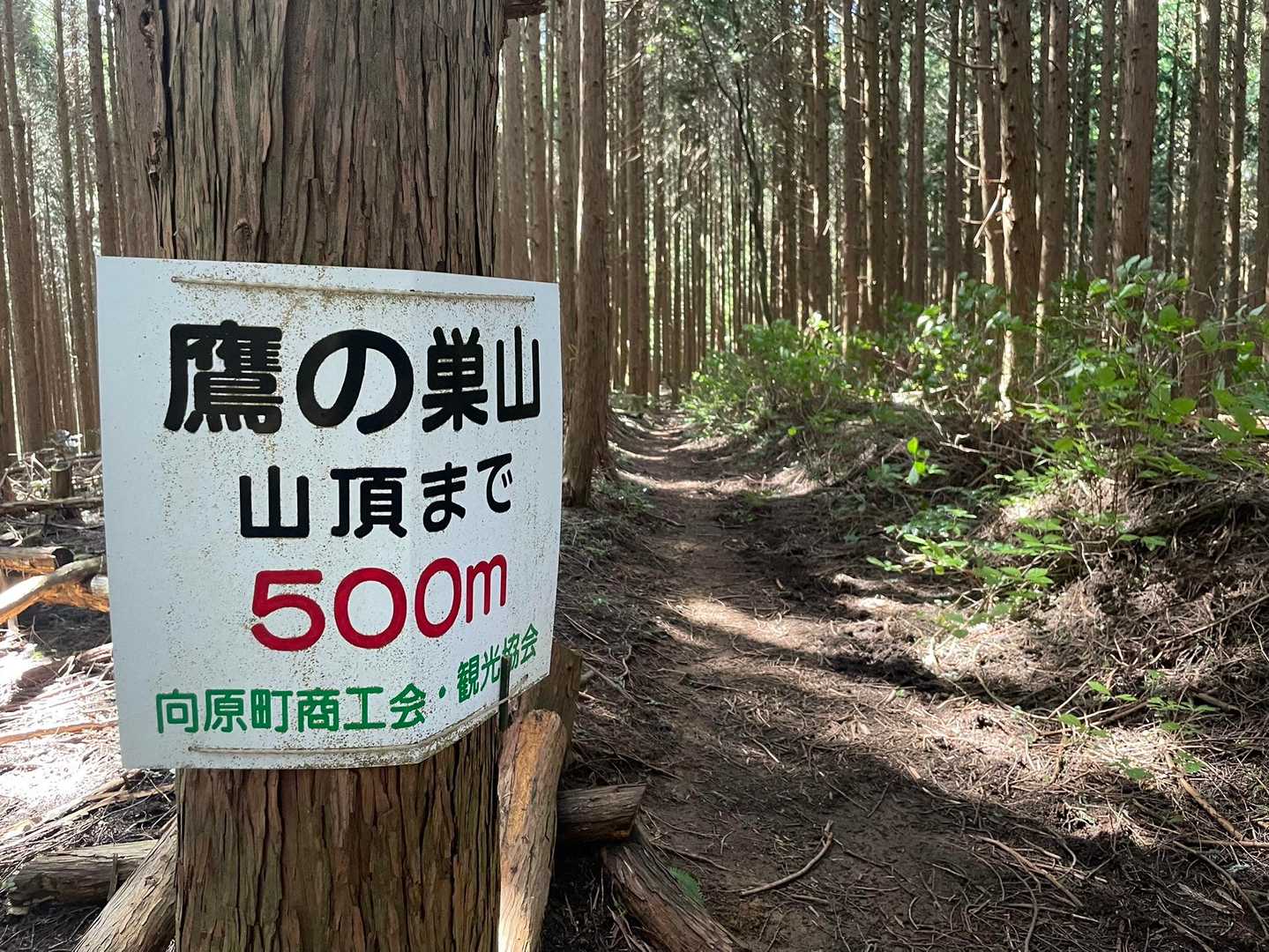あと500m❗️