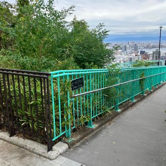 ビーナスブリッジを歩いて
