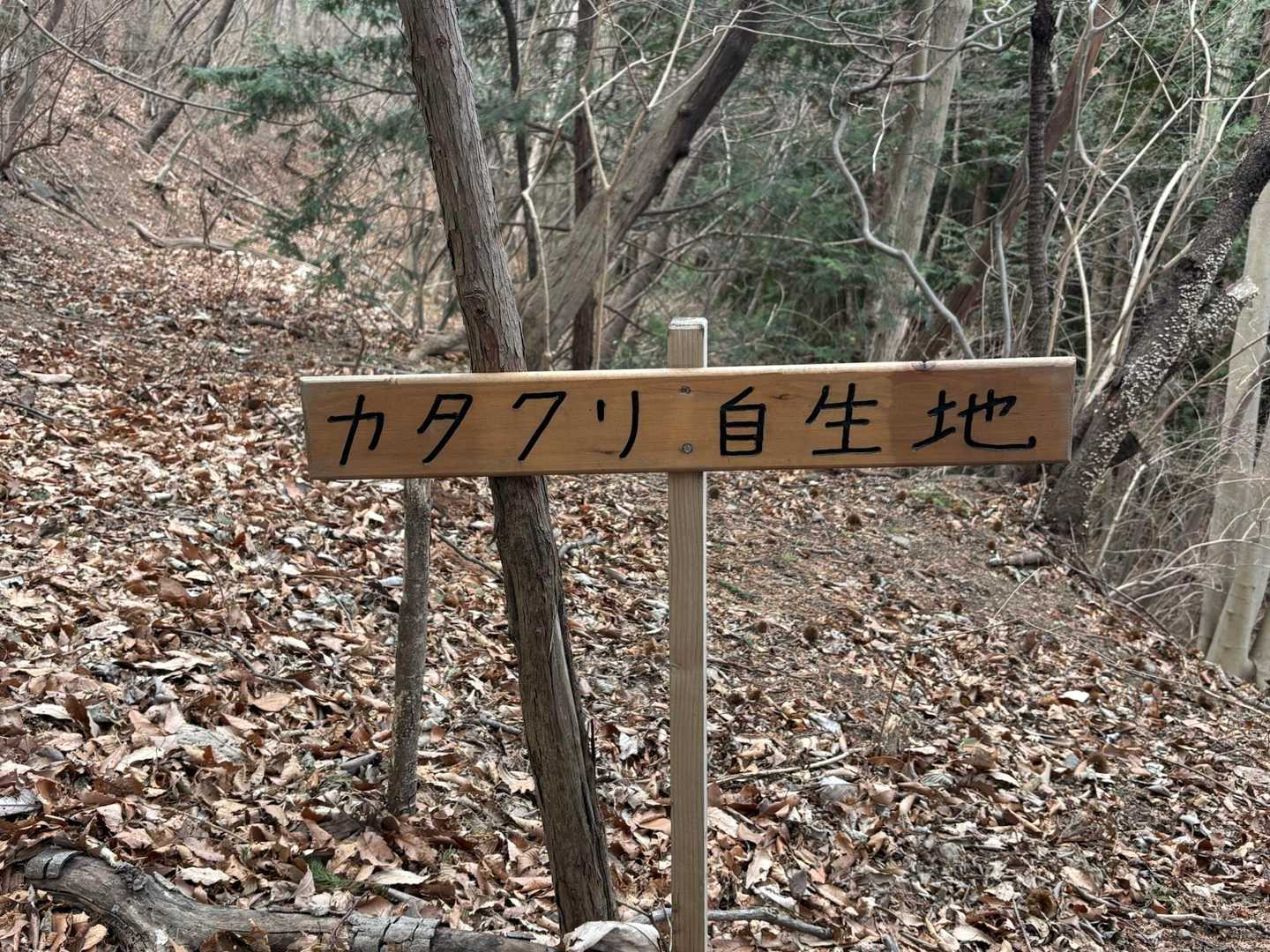 🌱がいくつかありました。