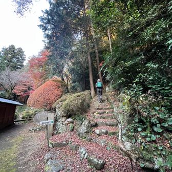 早く登らないと日が暮れる、、、と急ぎ足

ひとりだったら、この時間からは登らないかな