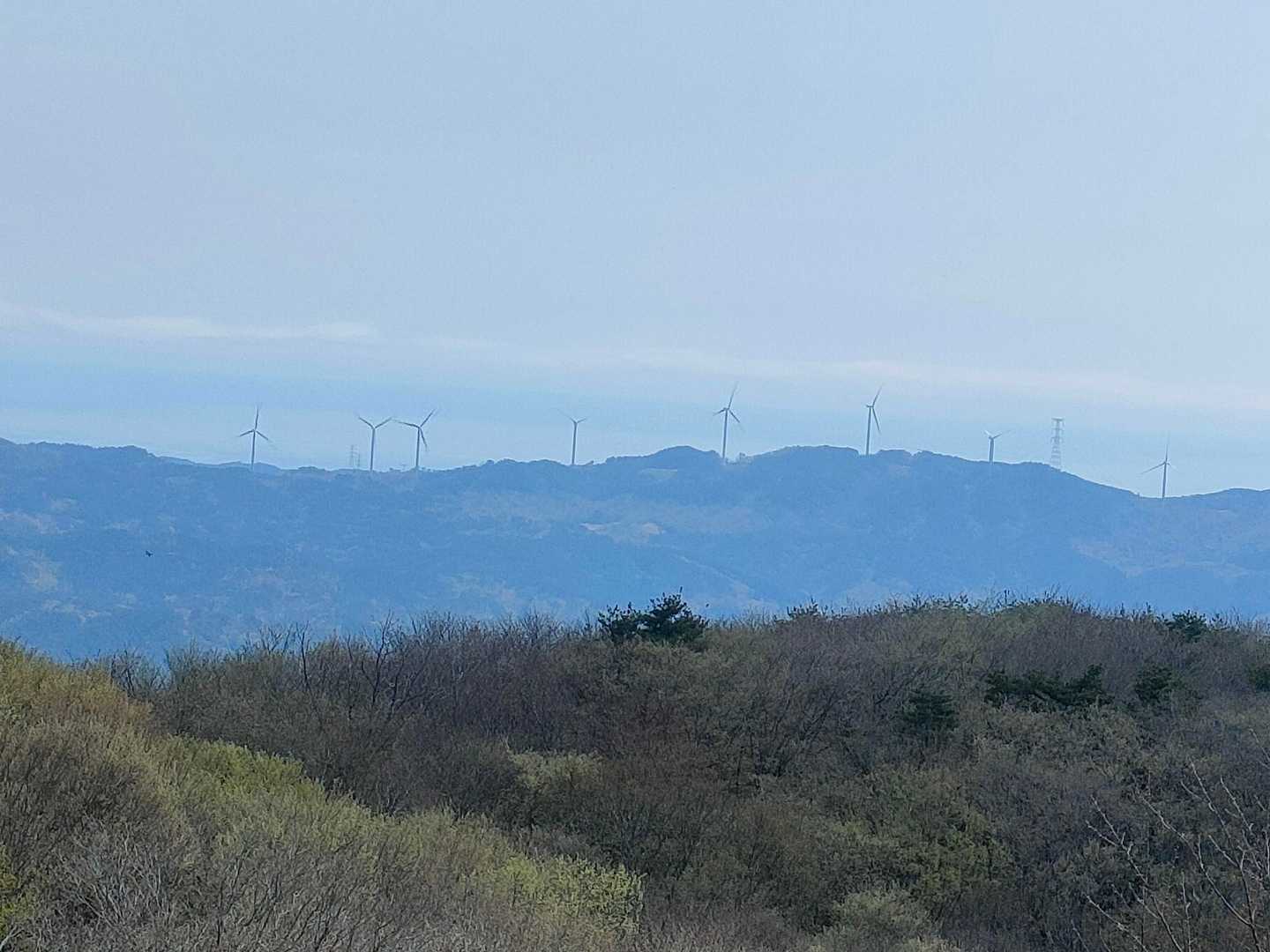 西ノ内登山口-五十人山 往復コースの写真