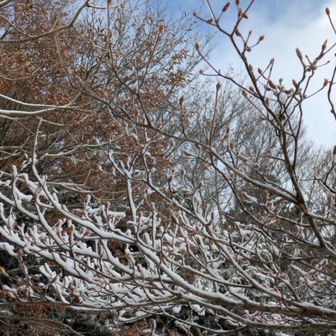 ここで霧氷❄見れました✨

私達を待っていたかのように青空🌞