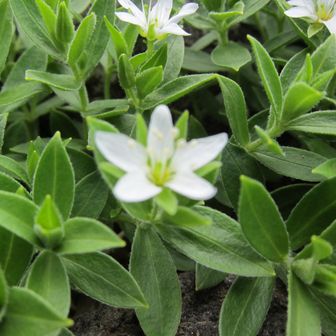 やっほい✩ずっきー