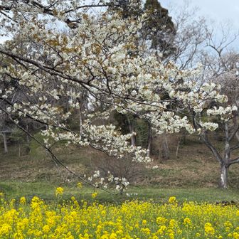 ここで昼寝したい気分💤