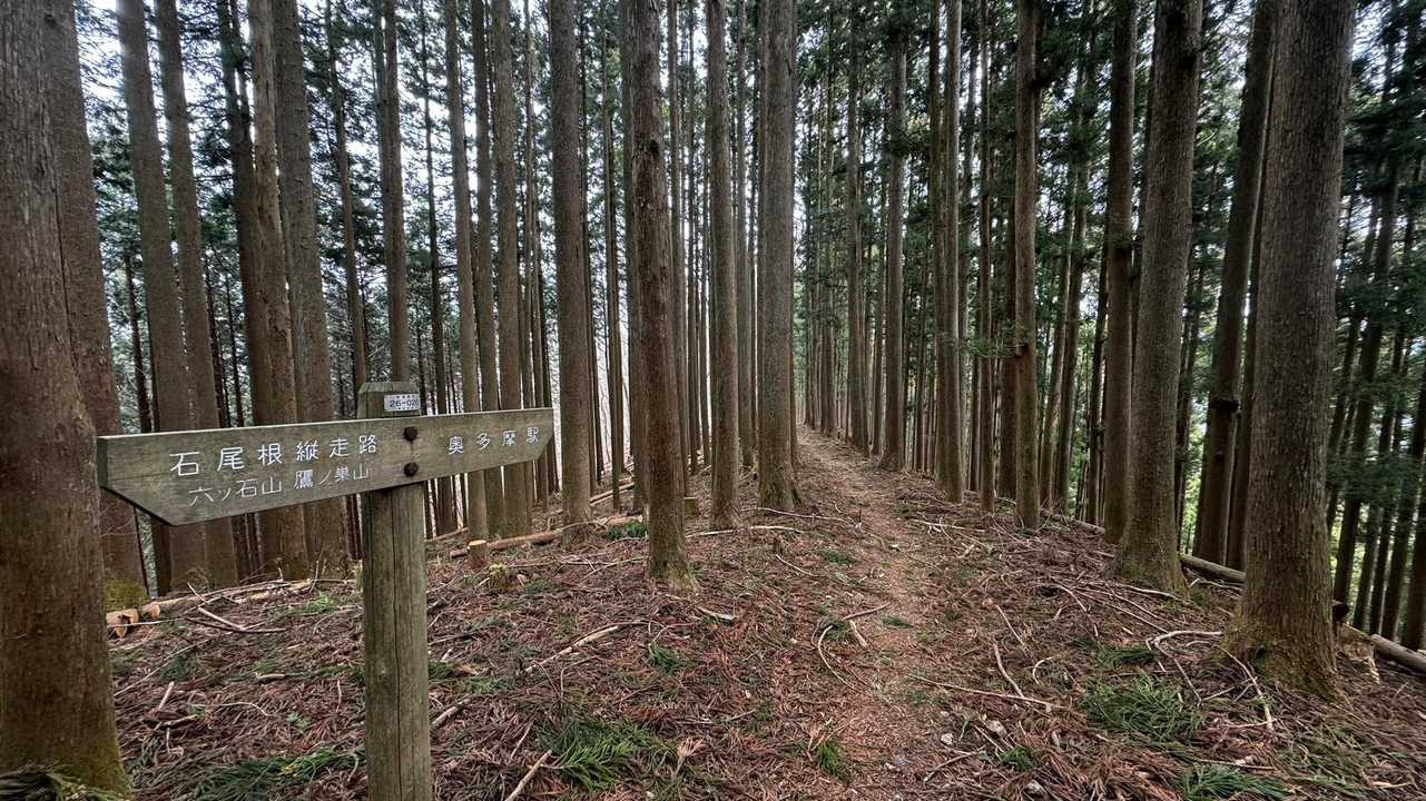 奥多摩、石尾根テン泊縦走（鴨沢〜七ツ石山〜鷹ノ巣山〜六ツ石山〜奥多摩駅） の写真 99