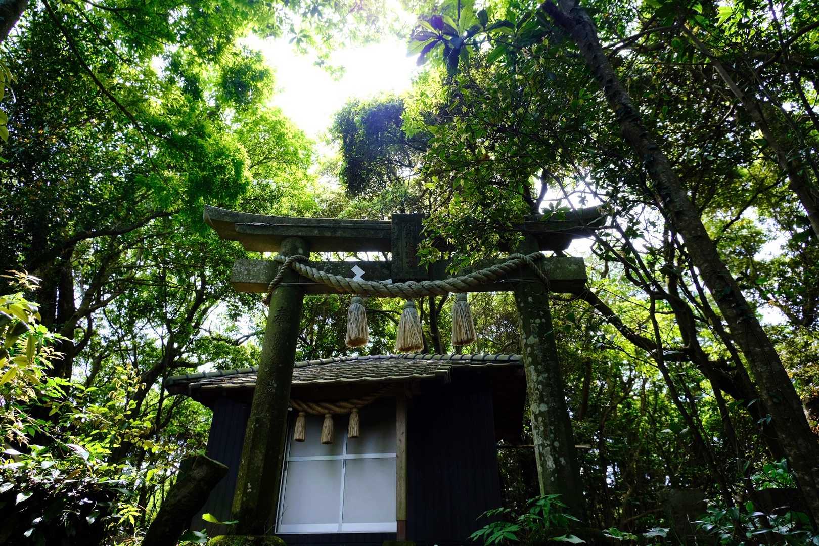 金比羅神社
ヤマップのおかげで道を間違ってることに気付く
感謝✨