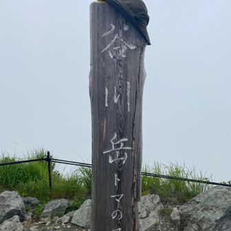 写真撮影待ち時間ゼロ
この辺から真っ白