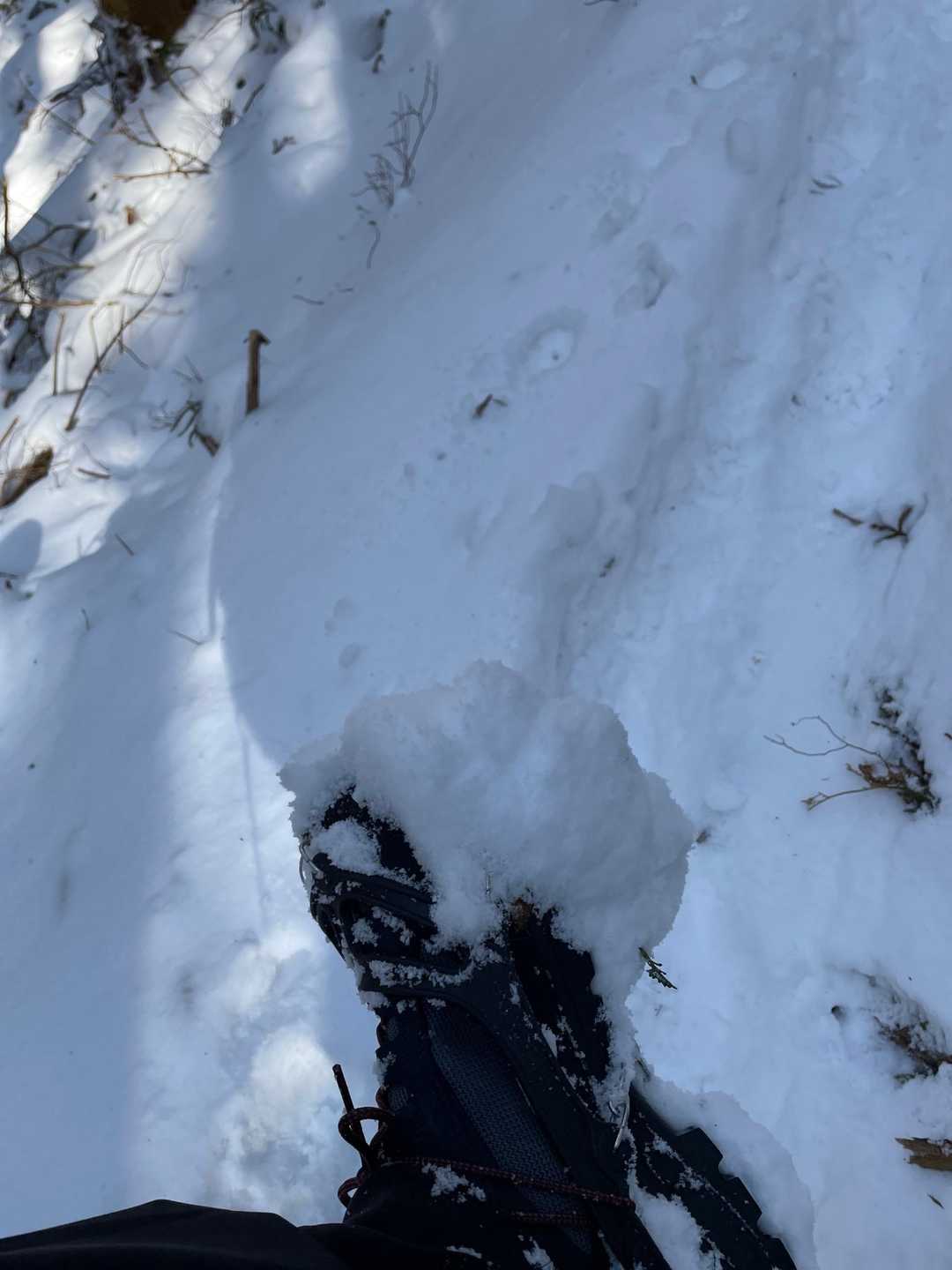 チェーンスパイクの欠点

雪が少し溶けると団子になってくっ付く