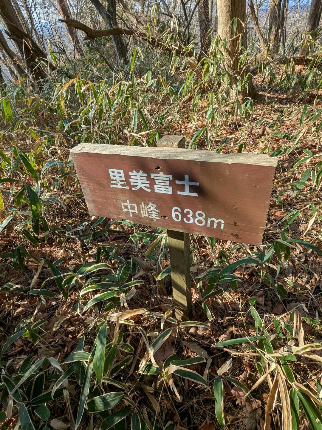 ここは、ピーク取れないみたい…