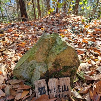 狐ヶ城山 ⛰️  441m ✨

🦊のお城があったのかな🤭

展望はない😅

今日はここまでで、ピストンで戻ります🐾