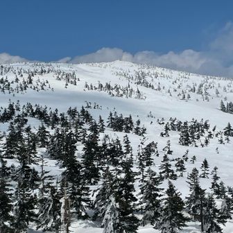 山頂を振り返る。