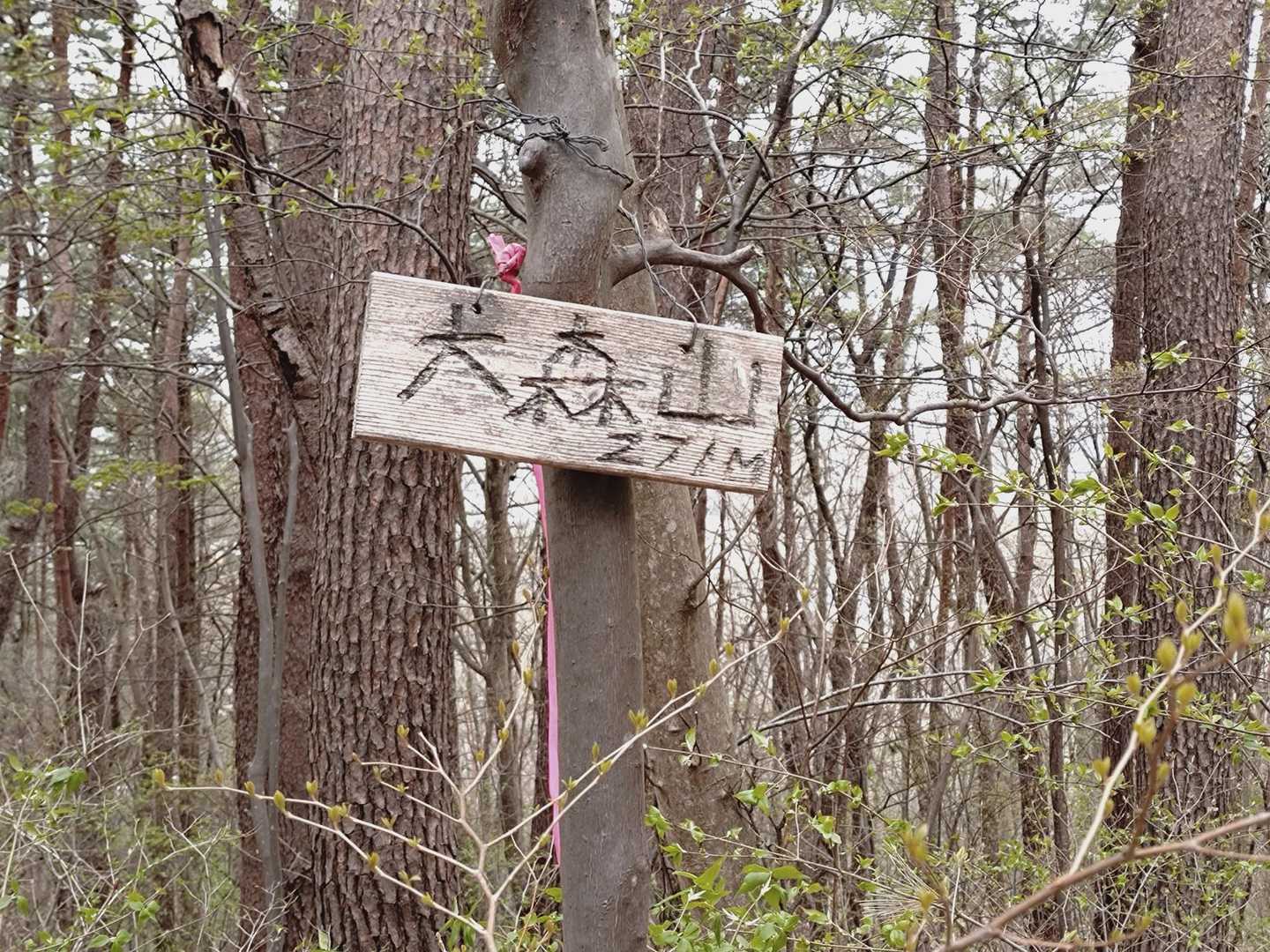 これも⋯🤔