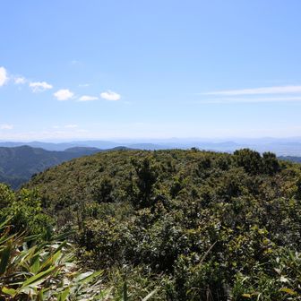 こちらは福井県側の竹田へと下る道ですが、
あまり歩かれていないようでした。