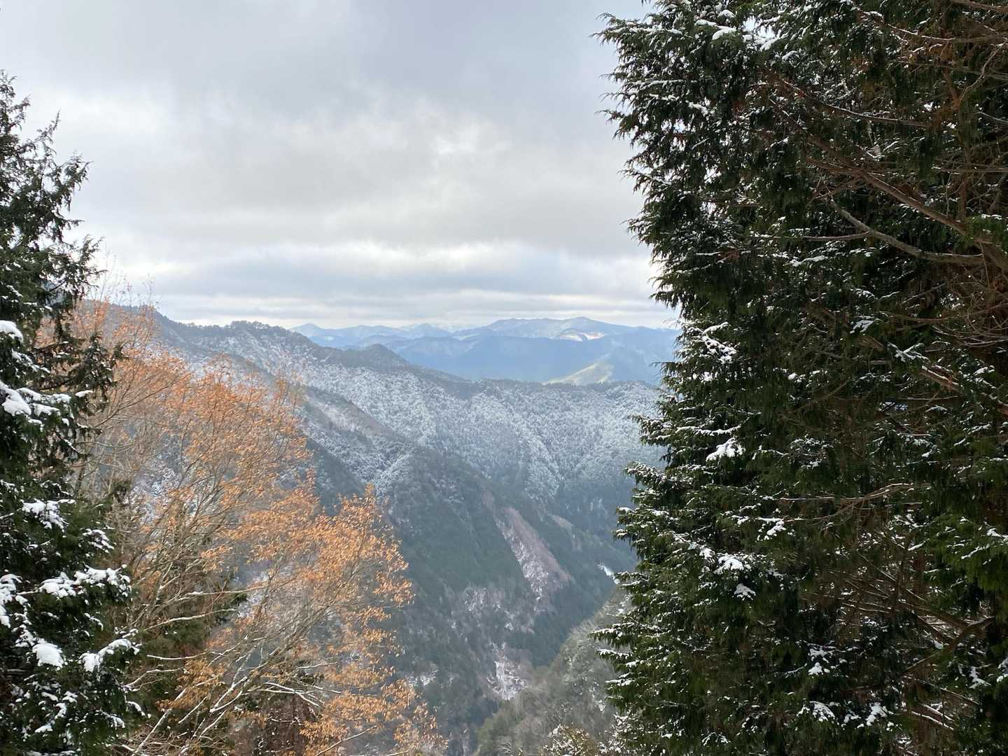 観音峰登山口-観音平-観音峯山 往復コースの写真