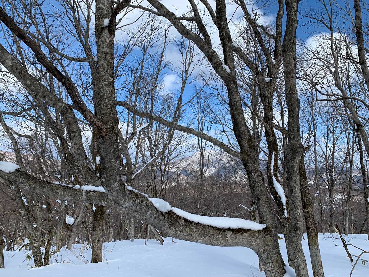 山頂からの三森山😄