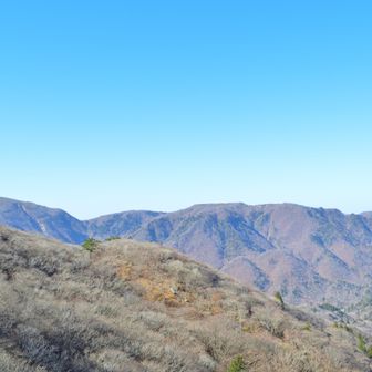 イブネ、クラシも