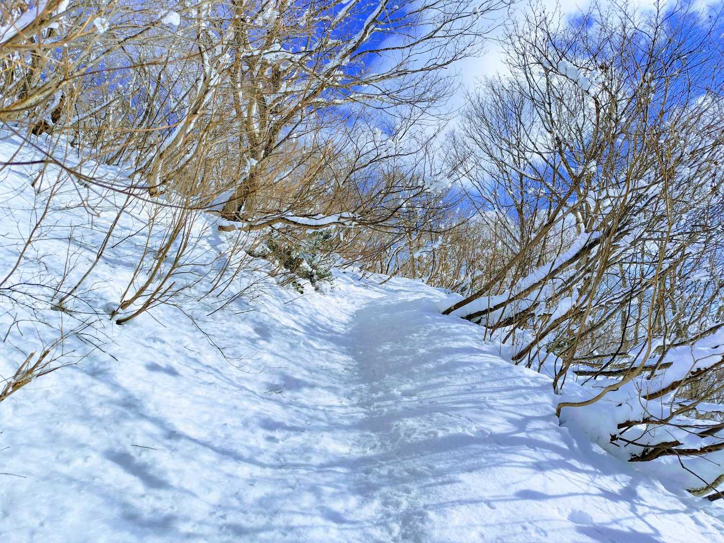 気持ち良い。