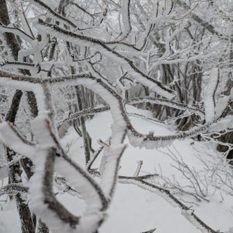 だぁ～～れもいなく
独り占め
少し先に行って見ましょう。この先晴れなら
五竜岳方面が見えるのになぁ〜

独り占め🥰