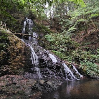 白糸の滝　全景