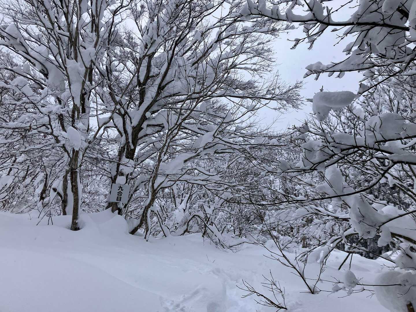八乙女山 | 風鎮神事の里山、散居村越しに立山連峰を仰ぎ大杉が迎える頂の写真