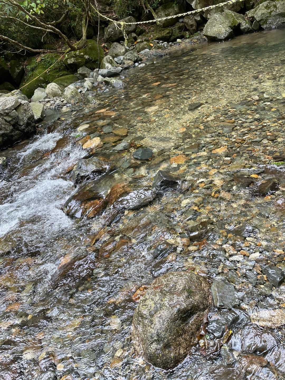 　　　水量は少し多いけど　大丈夫🙆‍♂️