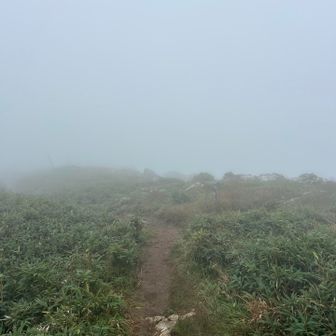 何だかイヤな予感