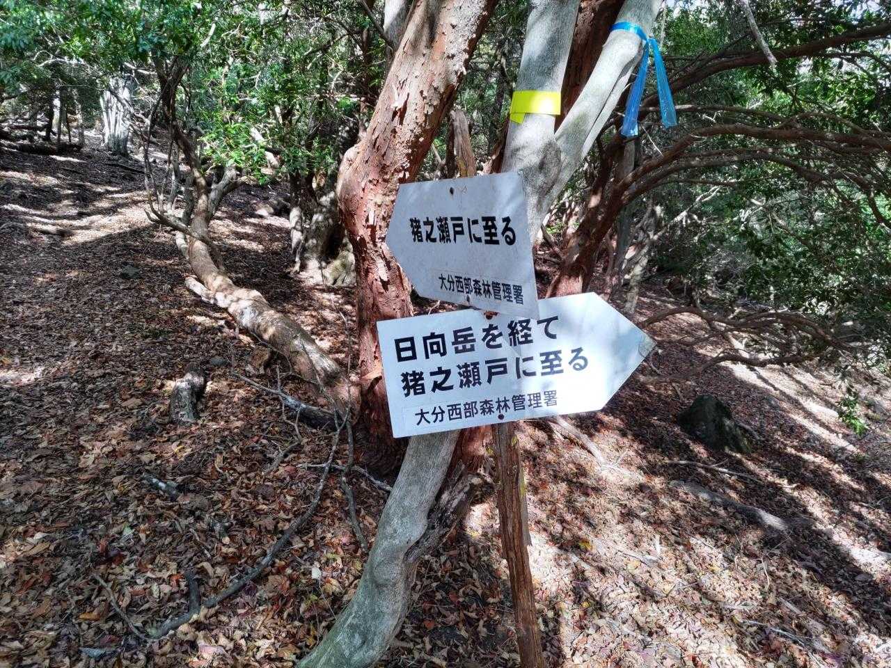 日向越