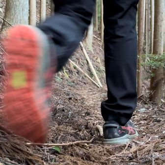 じゆうな時間【山歩き】