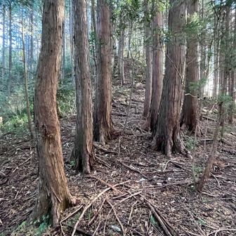 大変だった場所は写真を撮ることが出来ませんでした