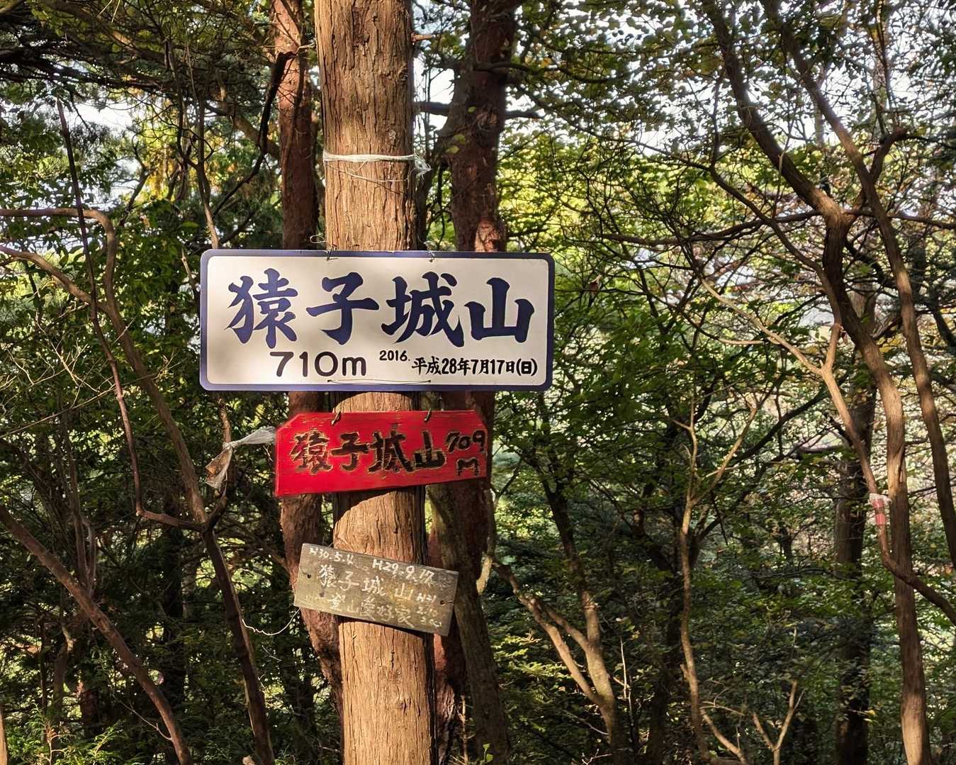猿子城山-ボテ峠-施福寺-槇尾山バス停 周回コースの写真