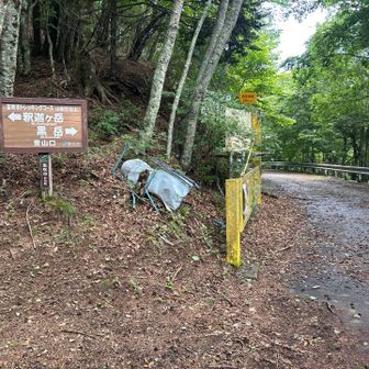 黒岳から釈迦ヶ岳へ向かう途中の林道交差部