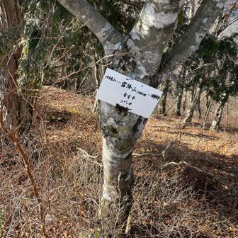 霜降山に到着❗️個人的に眺望は池木屋山よりこちらの方が良き