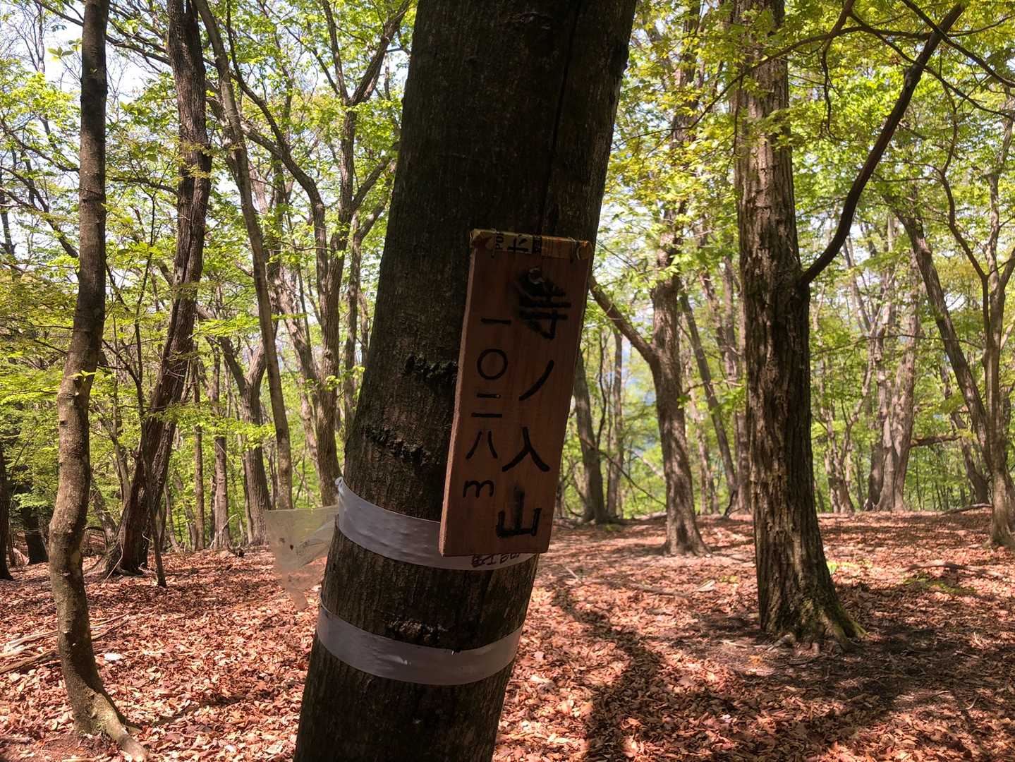 ＜寺ノ入山＞山名板の写真が多く、すみません🙇‍♀️活動日記、工夫しないと…🧐