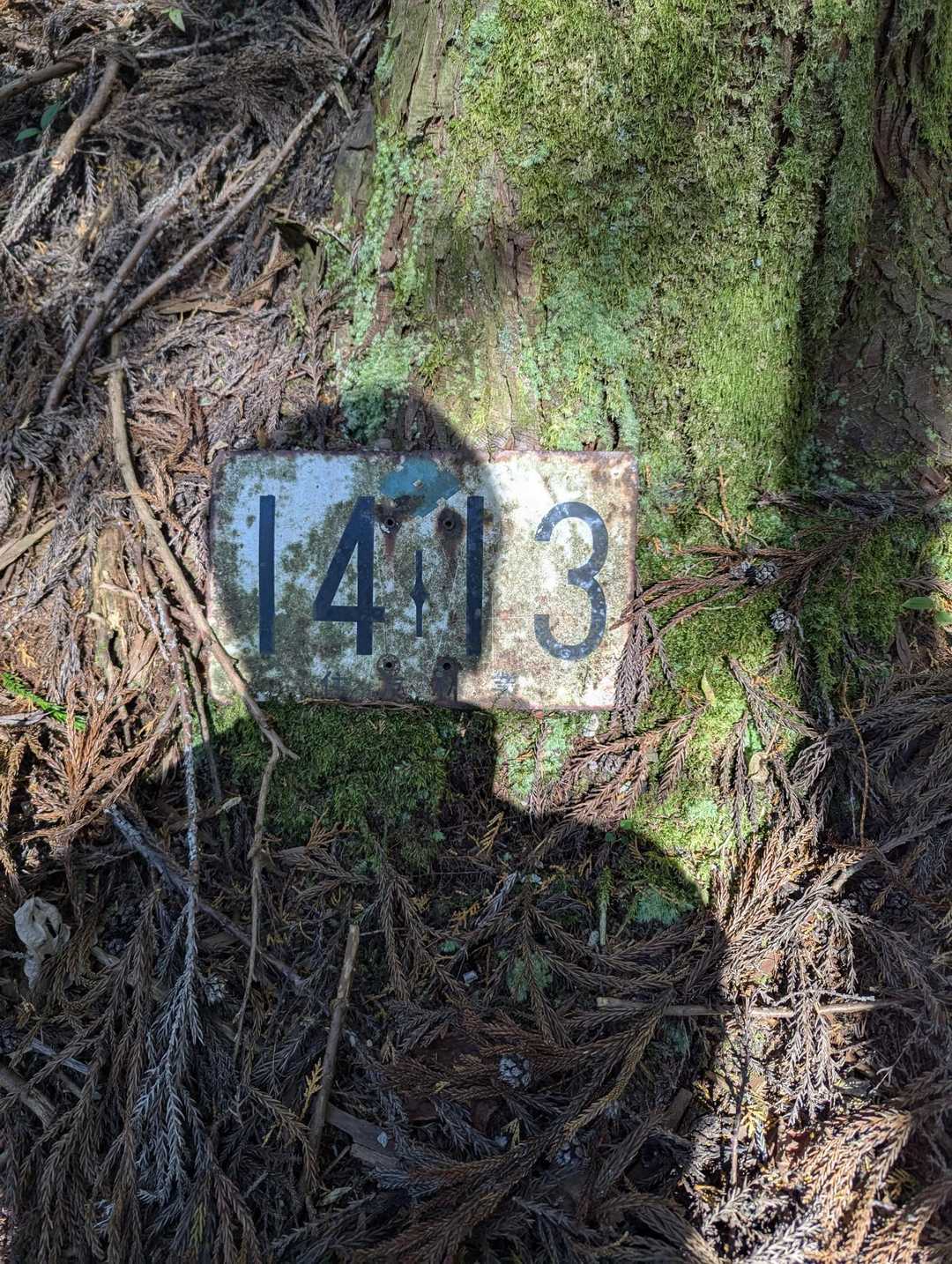小麦畝登山口-平家平 往復コースの写真