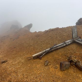 強風🌬️で倒れてる。