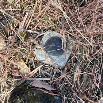 薮の中にあった〜三角点！