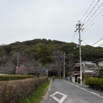 ちょっと走って正面に見えるは、耳成山！
前回も登れず
今回もスルー😂
🏔️ピークには興味ないホワイト隊員