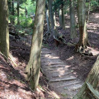 ずっと山道でしたが、ここから参道と合流です。