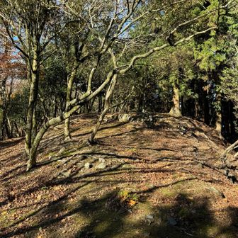 真っ直ぐ馬見山登山口に戻ってもつまらない。昨日のストックシェルターの男性がしたように、嘉穂アルプスを周回してみよう。反対向きだけど。