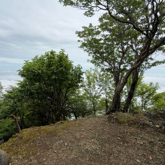 屏山、なんと大雲海でした。
朝麓から見た時はそんなでもなかったのだけど霧が発達したのかなぁ🤔
